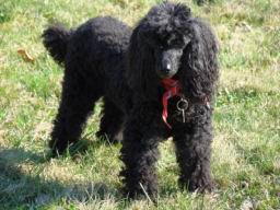 Resize of DSC06723.JPG